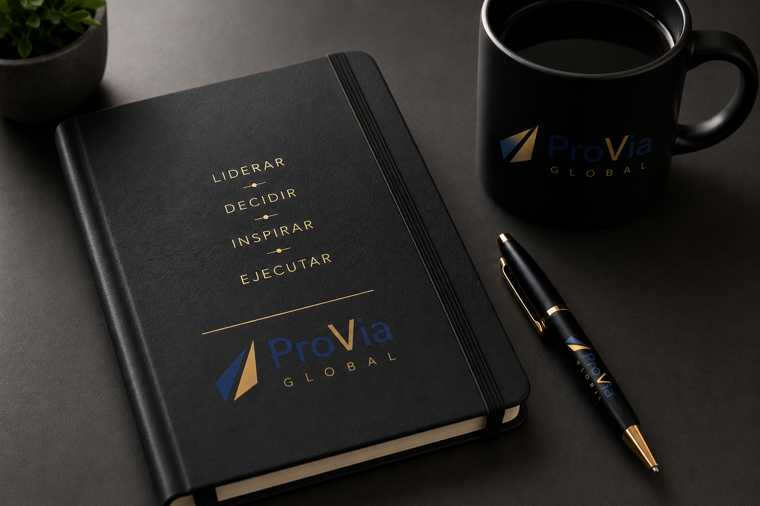 Libreta ProVia Global